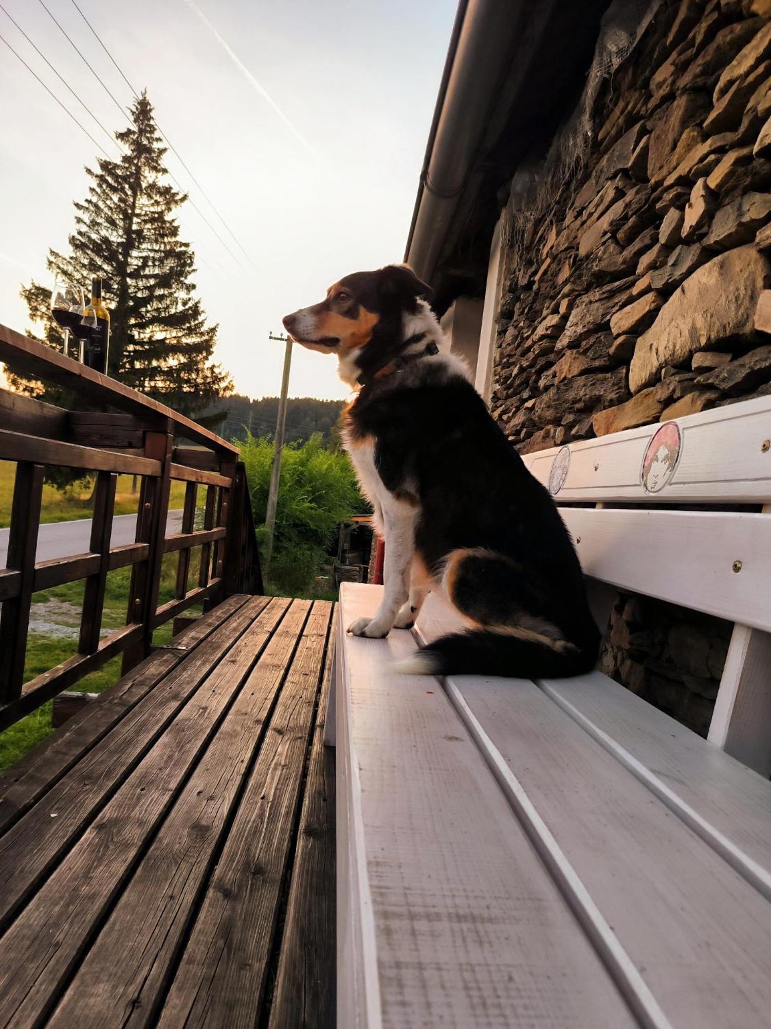 Pokojiky Na Vetrne Malsin Bagian luar foto